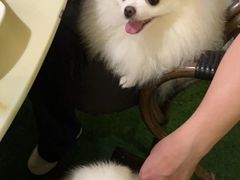 -香芙茗茶楼(梅家坞总店)