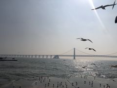 -星海广场