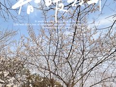 -梁鸿国家湿地公园