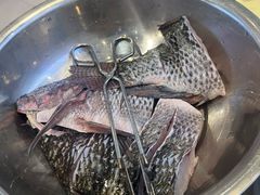 -草墩罗非鱼庄•野生菌•腊排骨(七星街上段店)