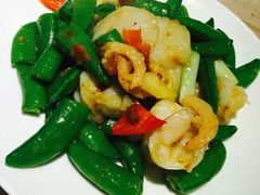 糖朝-糖朝(尖沙咀店)