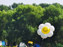 -长白岛森林公园