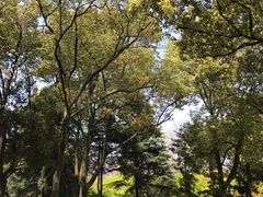 -上海市龙华烈士陵园