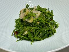 辣木苗拌螺片-宴昆山·私房菜(春晖店)