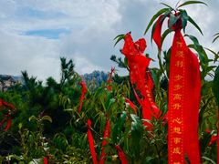 -崂山九水游览区