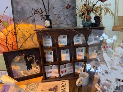 -鲸彩·美甲美睫科技护肤