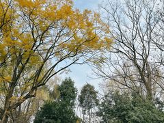 -国际非物质文化遗产博览园