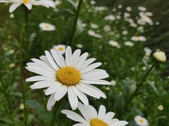 -王妈热卤·川味馆(海昌店)