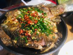 -聚鑫朋酸菜肥肠(文艺路口店)