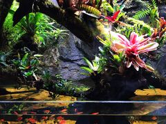 -合肥海洋世界