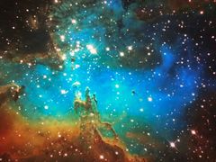 -陕西自然博物馆