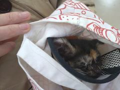 -爱派特动物医院·全科诊疗中心