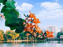 -东山湖公园