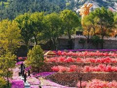 -烟台山景区