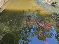 -途中饭店(开化店)