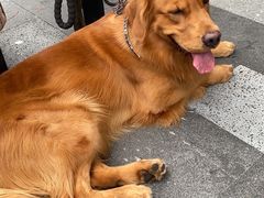 -饮湖威士忌鸡尾酒吧