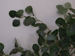 -Ten Olives甜点
