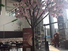 -泰州学院济川路校区-图书馆