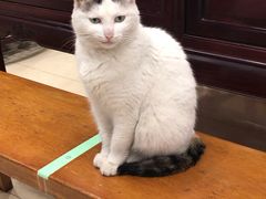 -南京君和堂中医门诊部