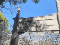-苏州上方山国家森林公园