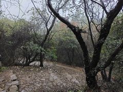 -缥缈峰景区