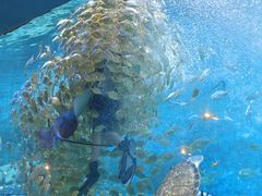 -横店影视城梦幻谷园区