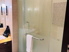 -芽庄喜来登水疗酒店