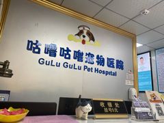 -咕噜咕噜宠物医院·CT·肿瘤科·骨科(前海院)
