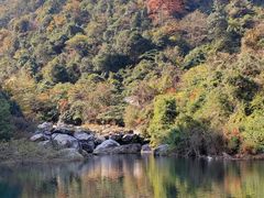 -庐山碧龙潭风景区