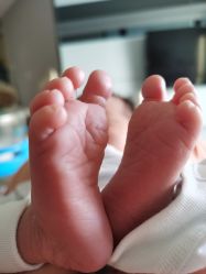 -俏妈咪月子会所