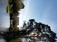 android_upload_pic-月牙潭公园