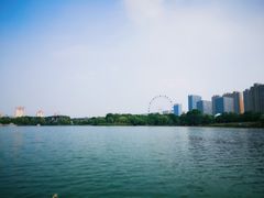 -暨阳湖生态园