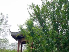 -眉山湿地公园(东坡区)