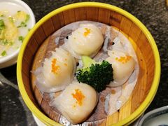 -老广酒楼(樱花店)