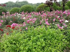 -西安汉城湖景区