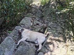 -午潮山国家森林公园