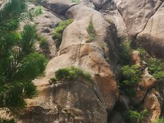 -克什克腾世界地质公园青山景区