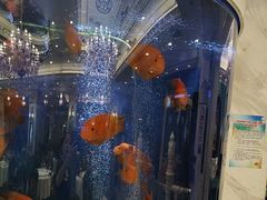 -齐家花园大酒店(宝山店)