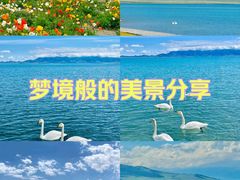-赛里木湖风景名胜区