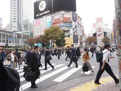 -涩谷全向十字路口