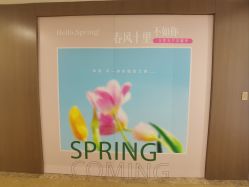 -丰联丽格医疗美容·联合丽格眼整形中心