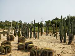 -东莞植物园