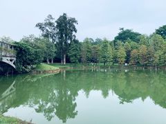 -中国科学院华南植物园