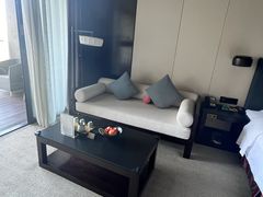 -深圳隐秀山居酒店