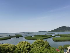 -香雪海