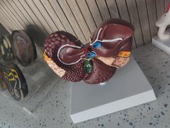 -半岛宠物医院24小时(白果林店)