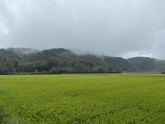 -南泥湾风景区