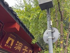 -洞子口张老二凉粉(文殊院店)
