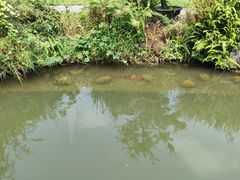 -成都杜甫草堂博物馆