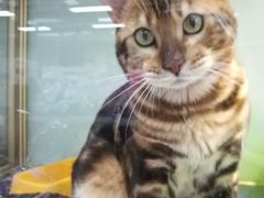 -乐宠宠物店(世纪金源店)